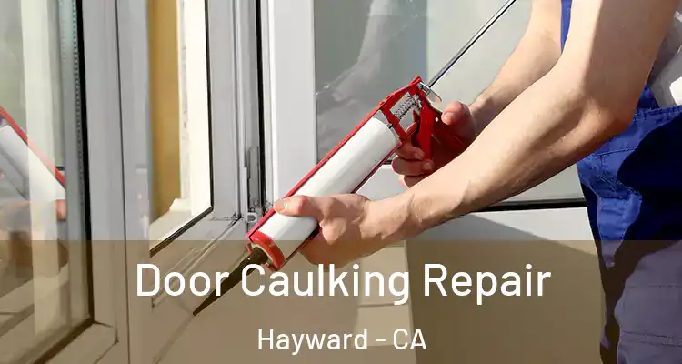  Door Caulking Repair Hayward - CA