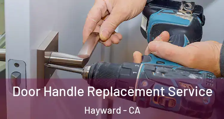  Door Handle Replacement Service Hayward - CA