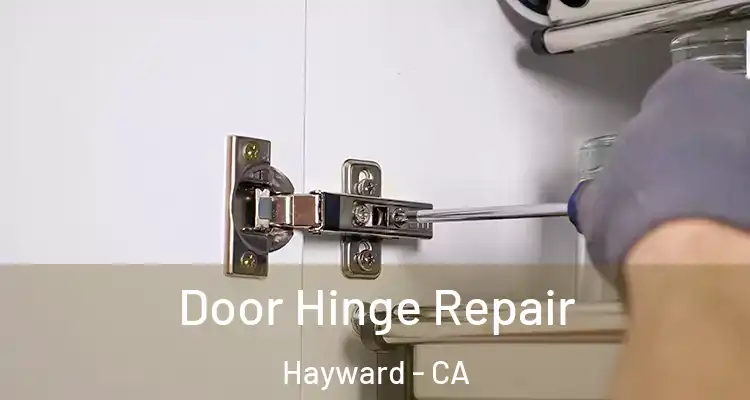  Door Hinge Repair Hayward - CA