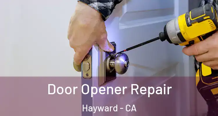  Door Opener Repair Hayward - CA
