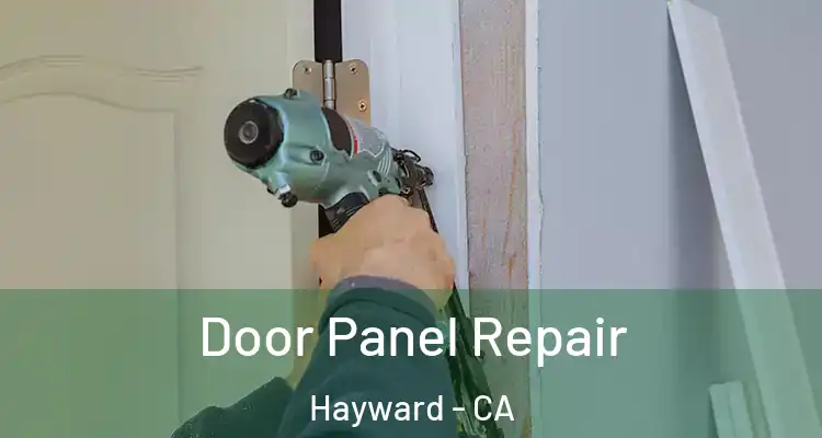  Door Panel Repair Hayward - CA