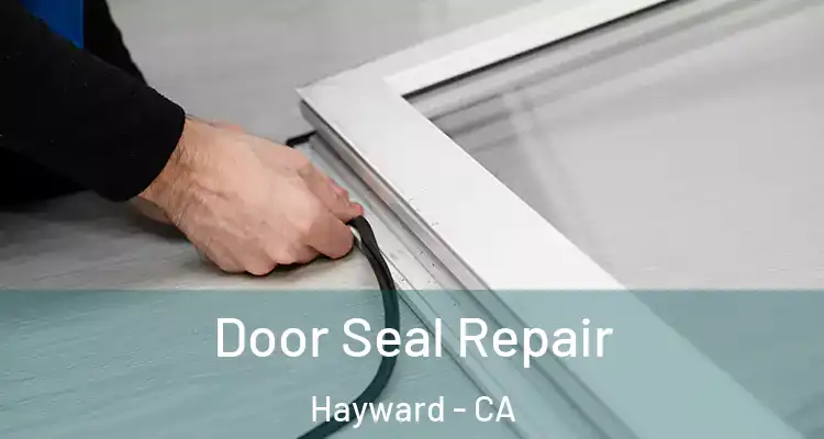  Door Seal Repair Hayward - CA
