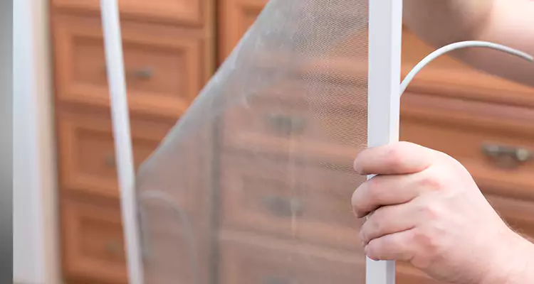 Privacy Mesh Screen Door Installation in Hayward, CA