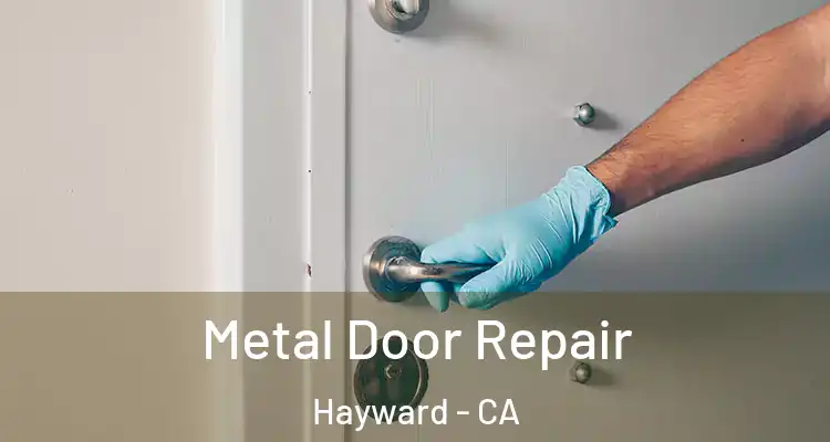  Metal Door Repair Hayward - CA