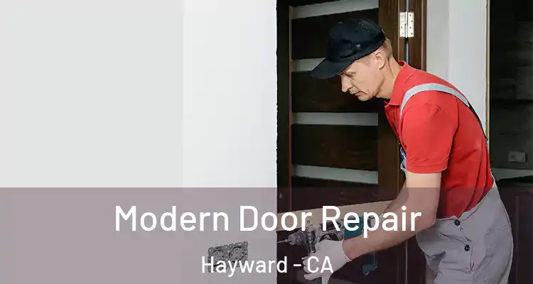  Modern Door Repair Hayward - CA