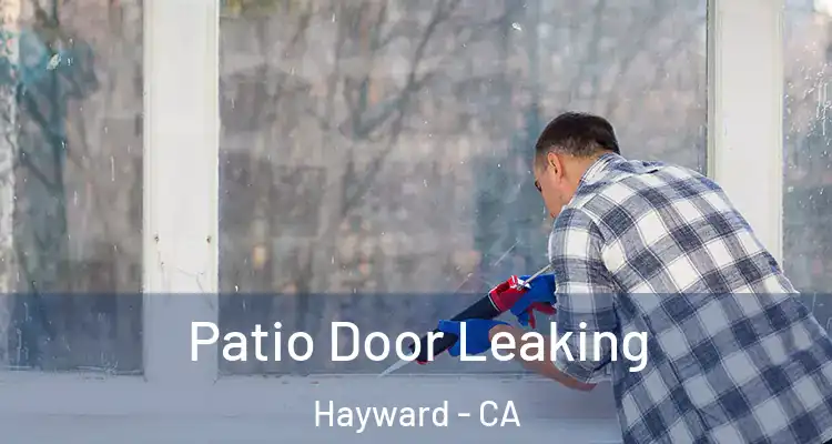  Patio Door Leaking Hayward - CA