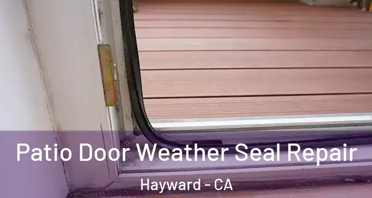  Patio Door Weather Seal Repair Hayward - CA