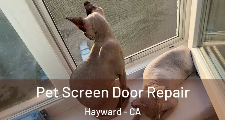 Pet Screen Door Repair Hayward - CA