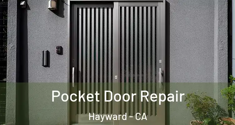  Pocket Door Repair Hayward - CA