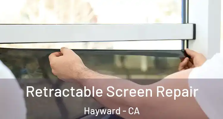  Retractable Screen Repair Hayward - CA