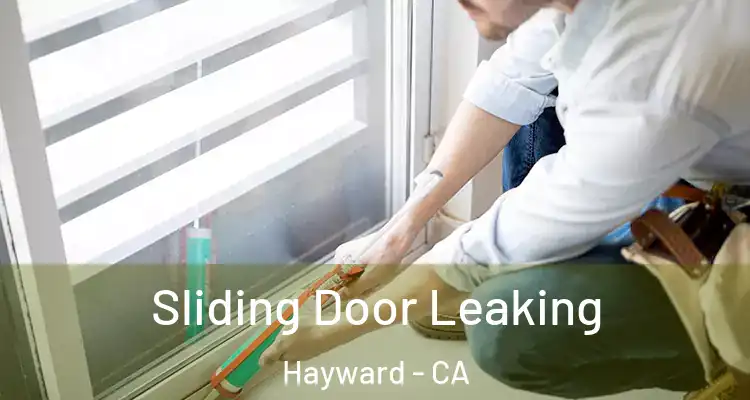  Sliding Door Leaking Hayward - CA