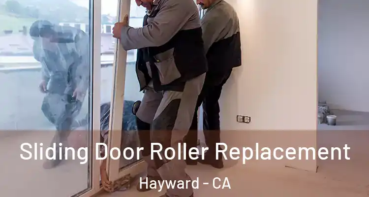  Sliding Door Roller Replacement Hayward - CA