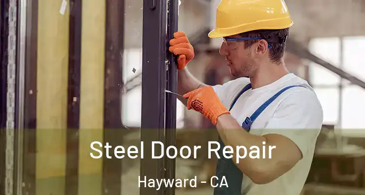  Steel Door Repair Hayward - CA