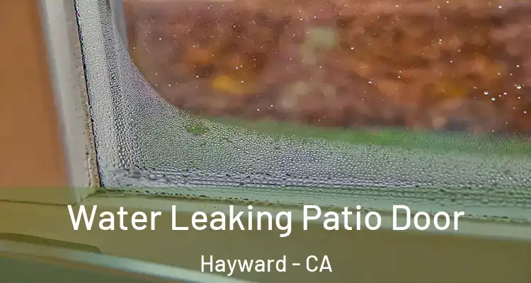  Water Leaking Patio Door Hayward - CA