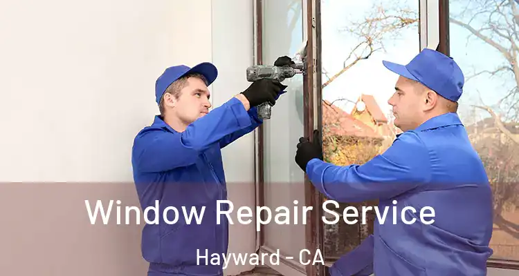  Window Repair Service Hayward - CA