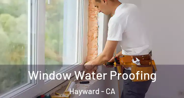  Window Water Proofing Hayward - CA